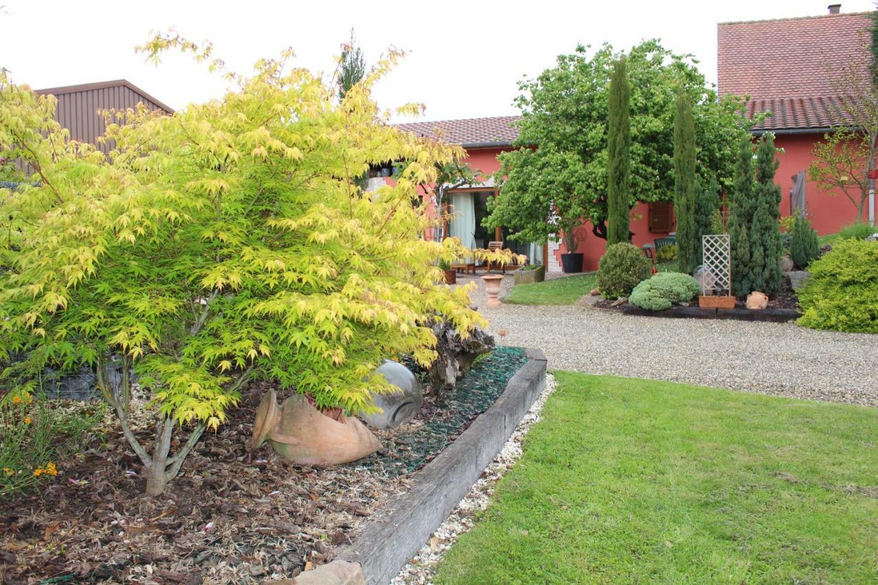 Gîte au centre de l'alsace Scherwiller Extérieur photo