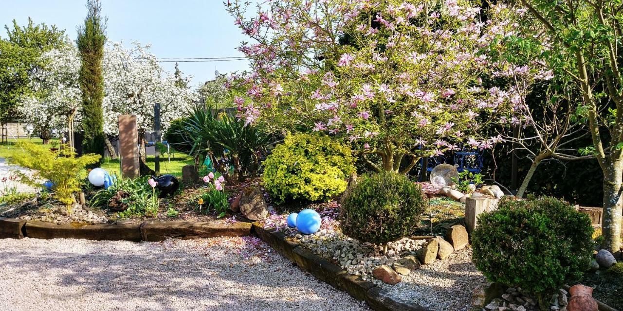 Gîte au centre de l'alsace Scherwiller Extérieur photo